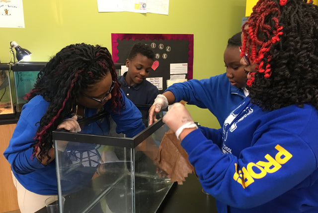 Social Status x The Door Campaign: Discount for Students Program