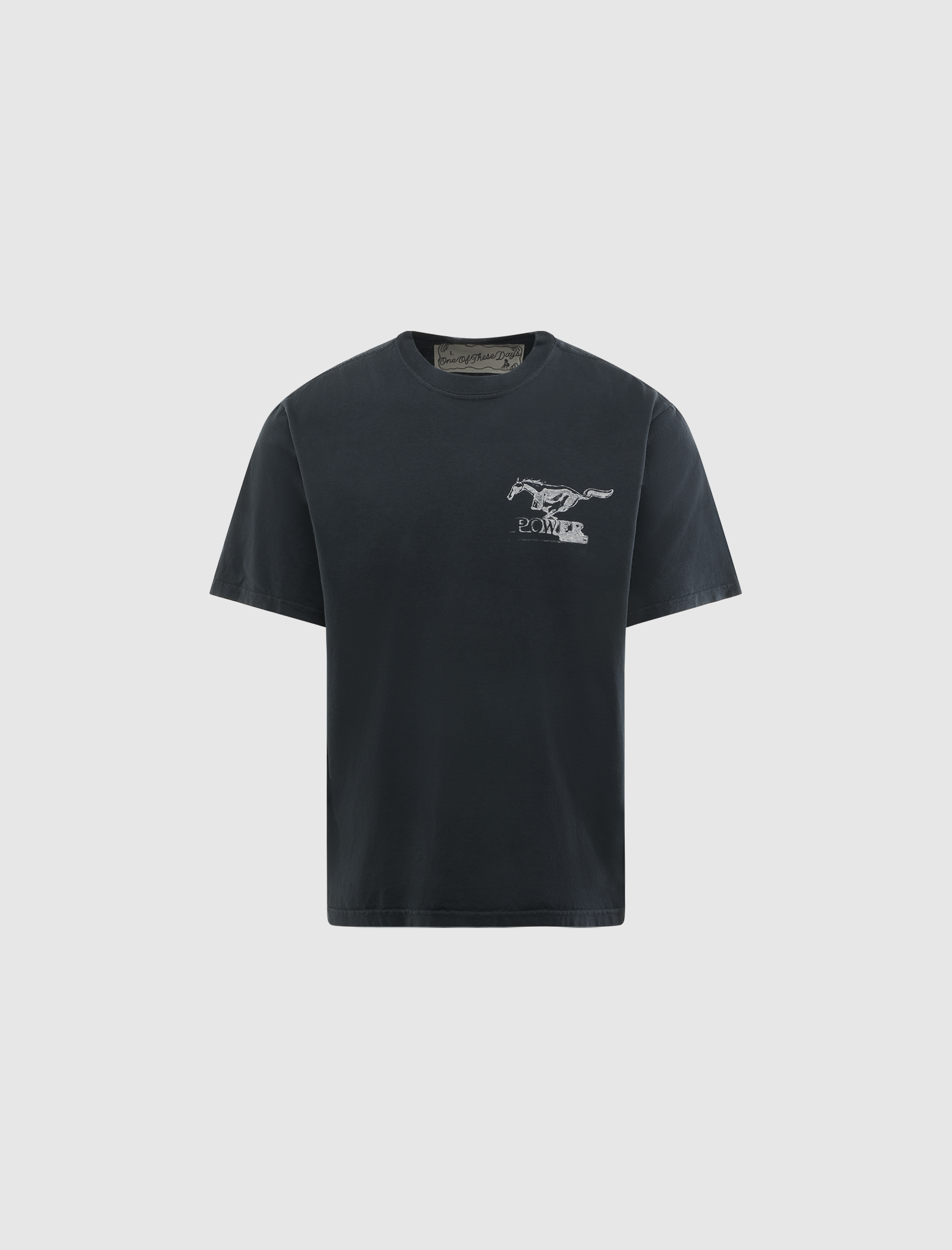 いつかマスタングクロスティ― – Social Status