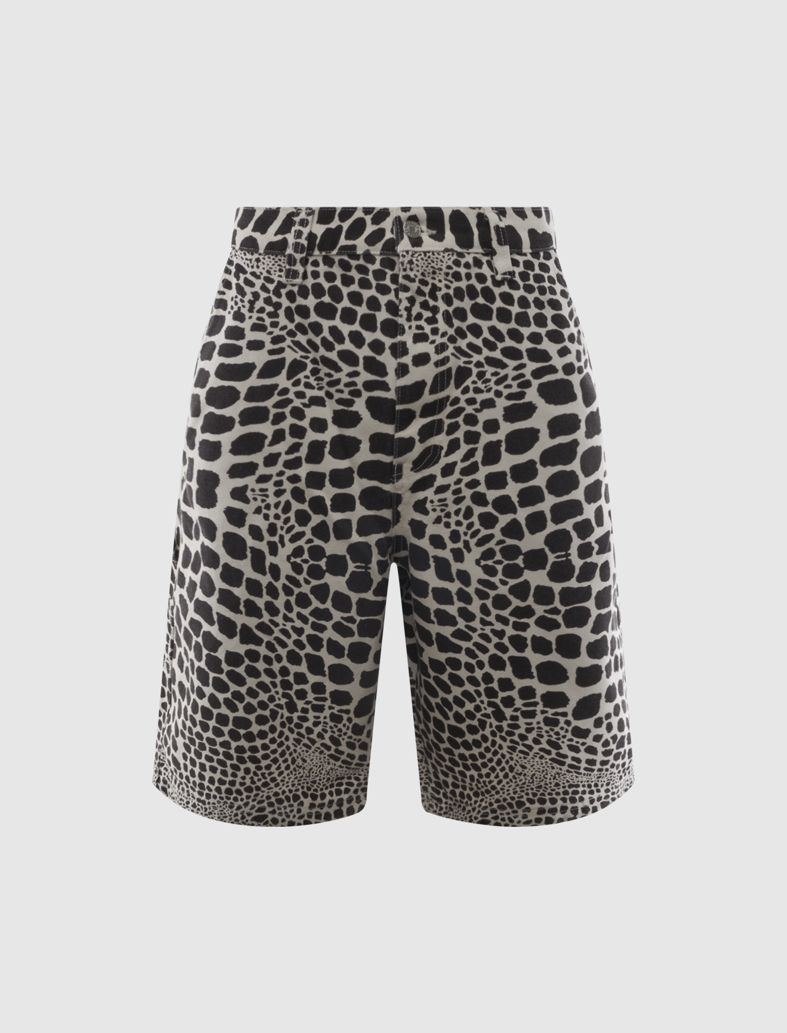 STÜSSY CANVAS WORK SHORT – Social Status