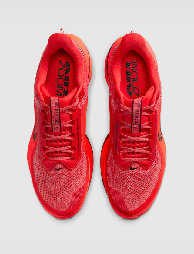 ペガサスプレミアム