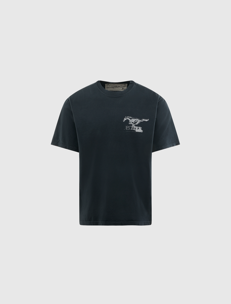 いつかマスタングクロスティ― – Social Status