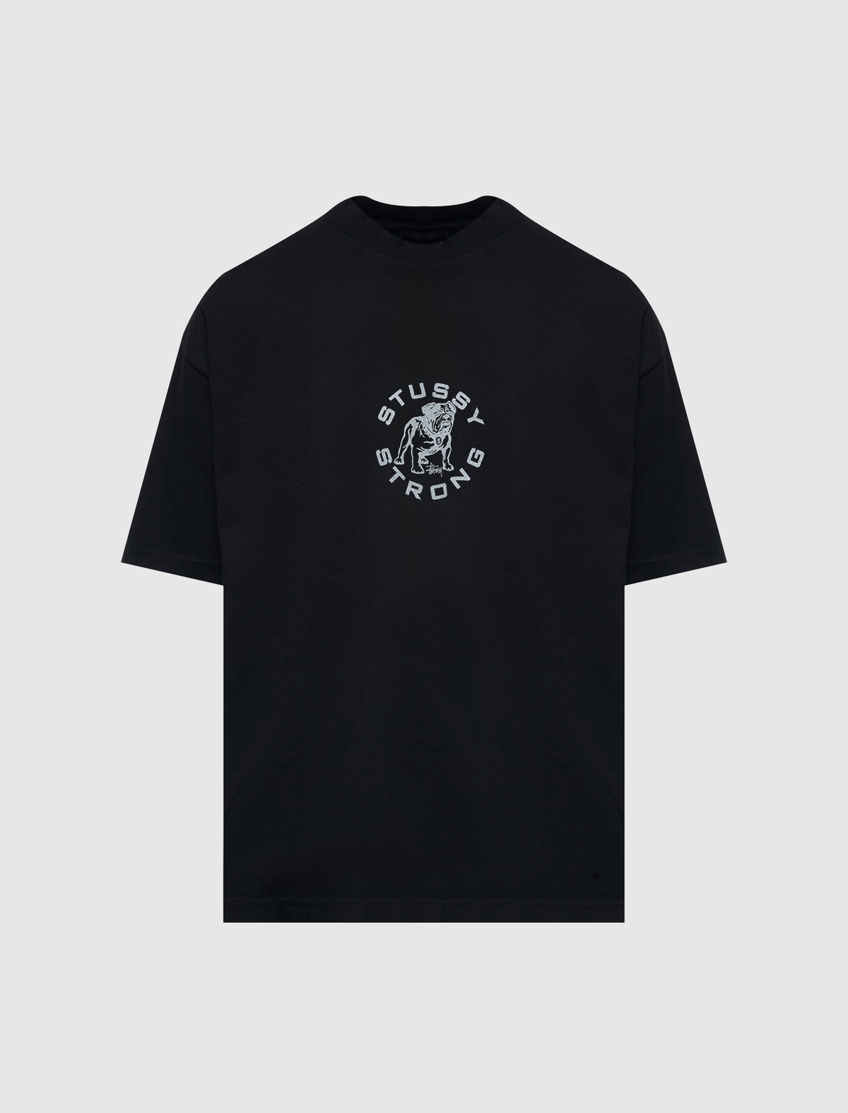 ステューシー ストロング マック Tシャツ – Social Status