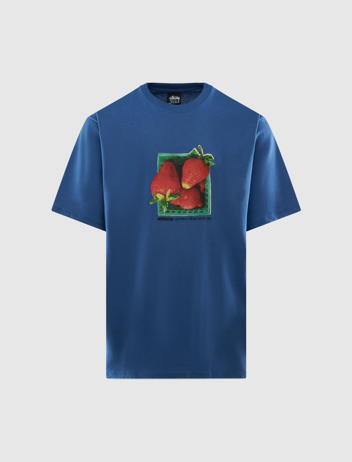 STÜSSY BERRIES TEE – Social Status