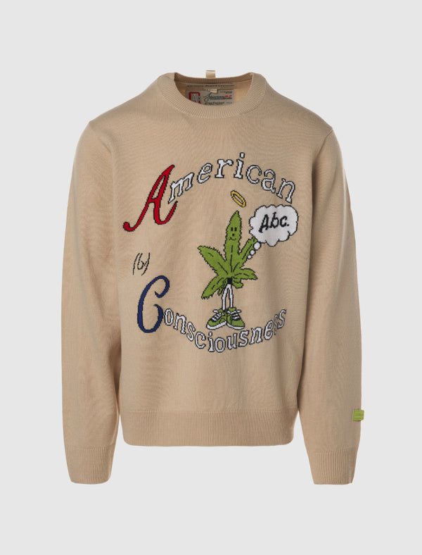 AMERICAN CONSCIOUSNESS SWEATER