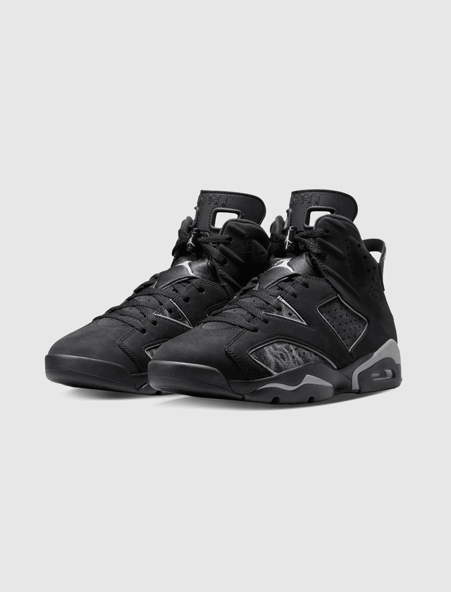 JORDAN 6 レトロ "CAP AND GOWN"