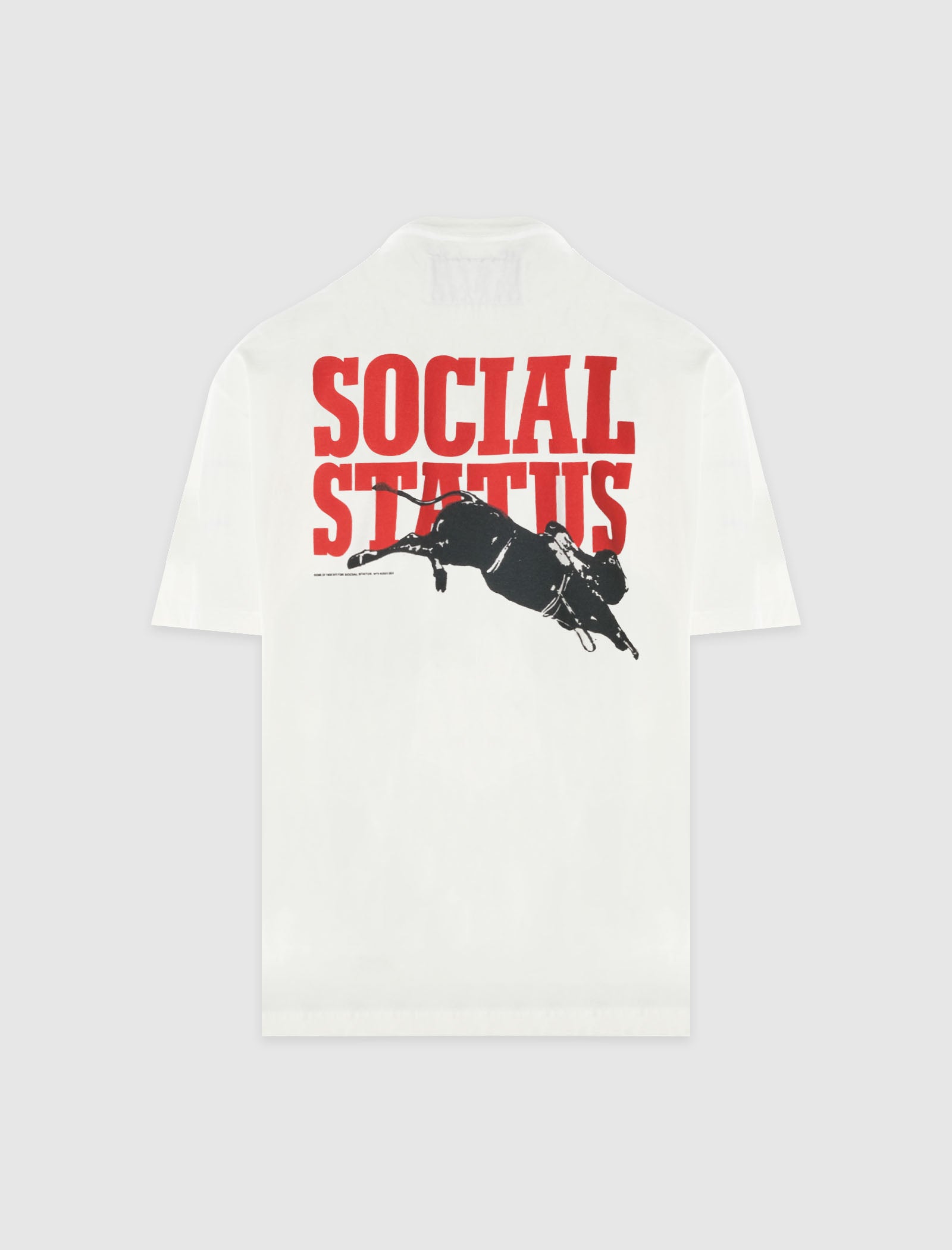 ONE OF THESE DAYS x SOCIAL STATUS HOUSTON RODEO TEE