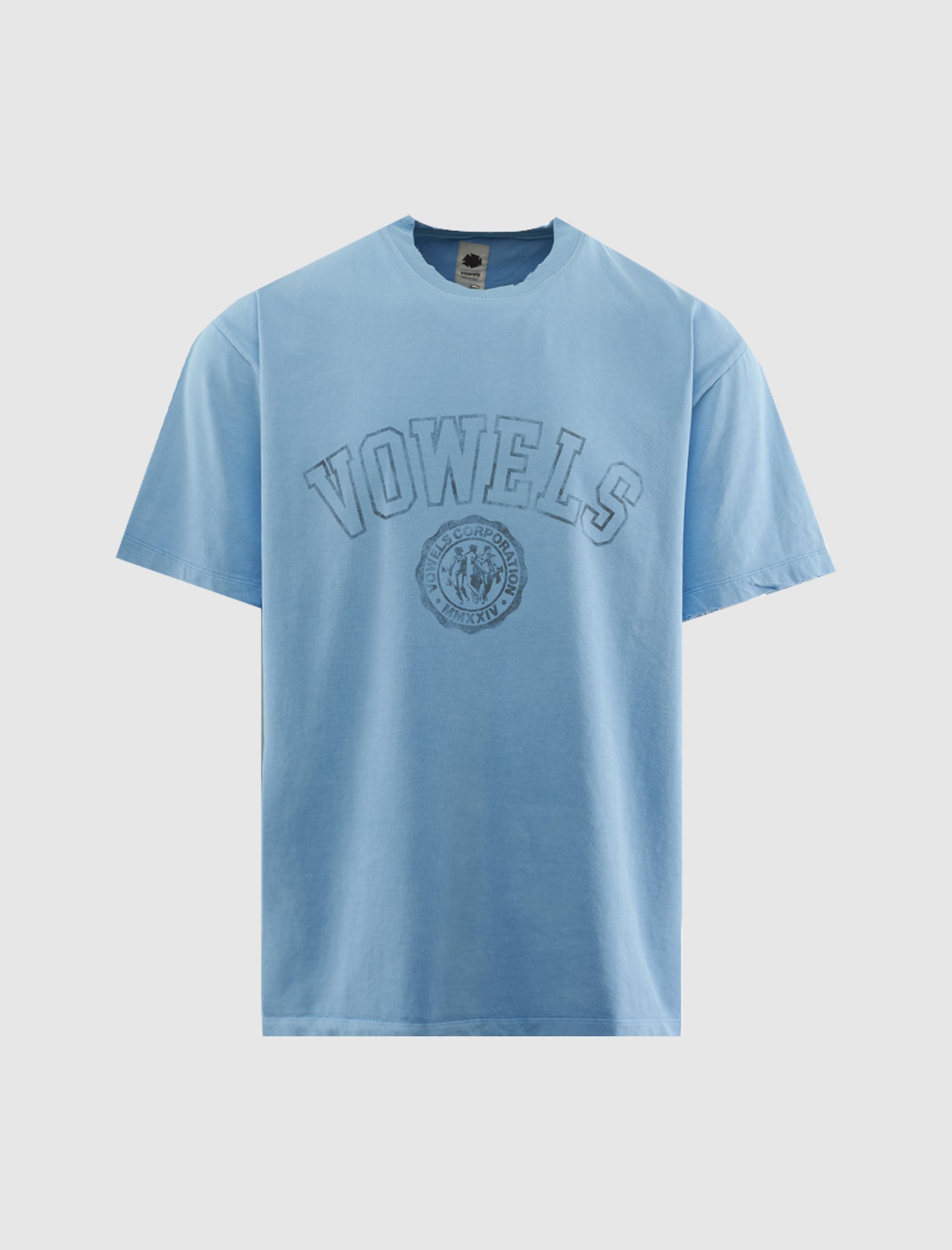 VOWELS FADED COLLEGE TEE – Social Status