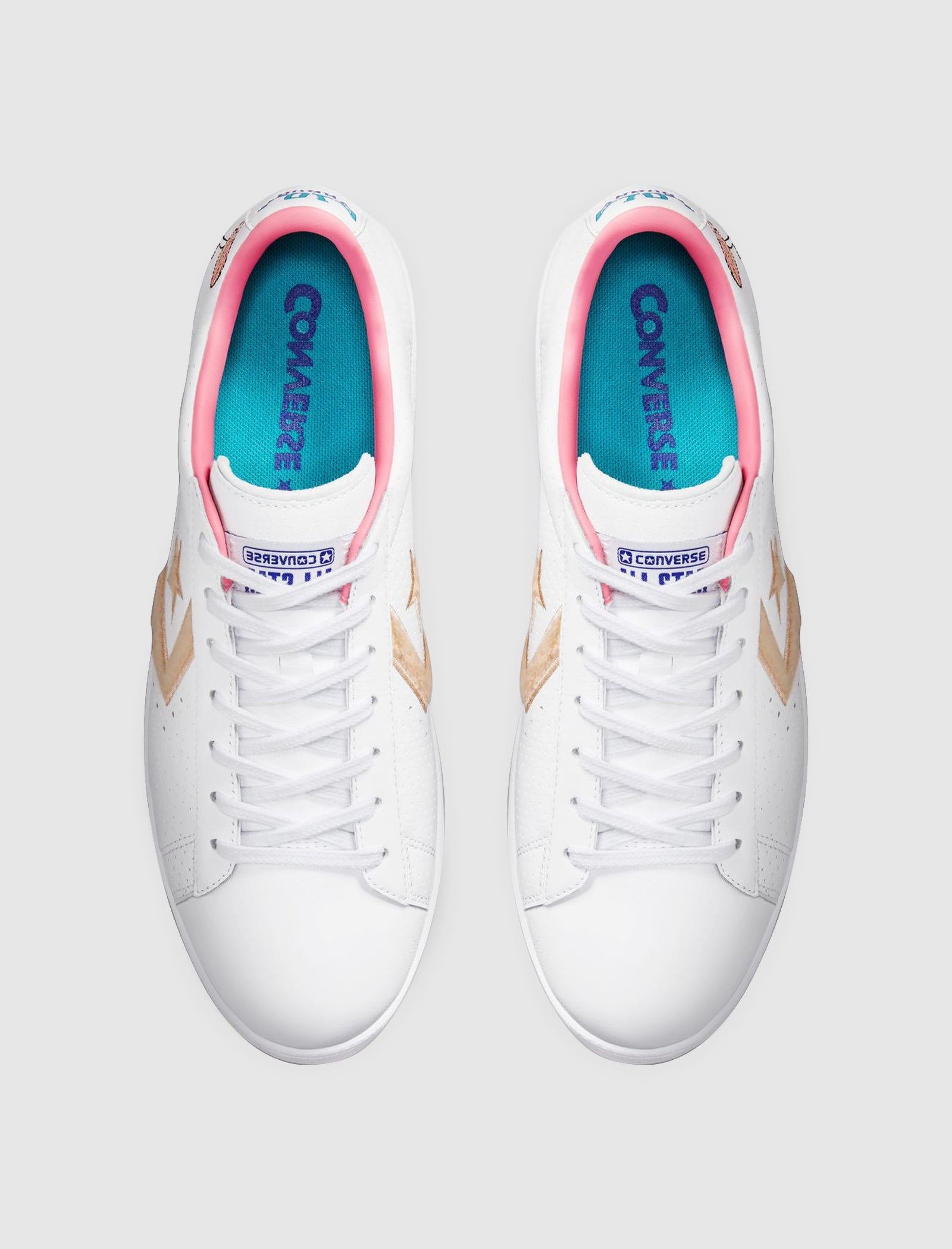 SPACE JAM PRO LEATHER LOW "LOLA"