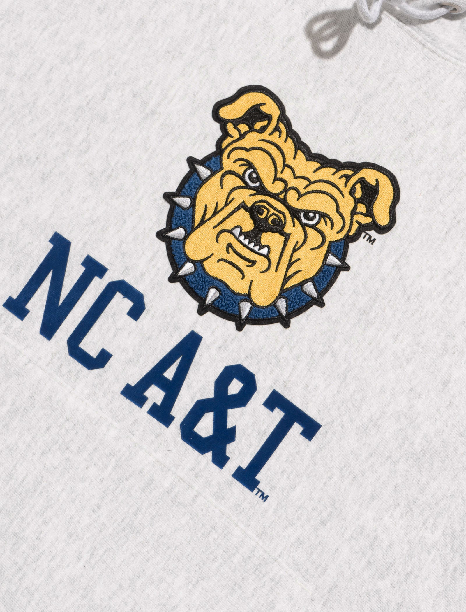 CHAMPION x HBCU NC A&T HOODIE