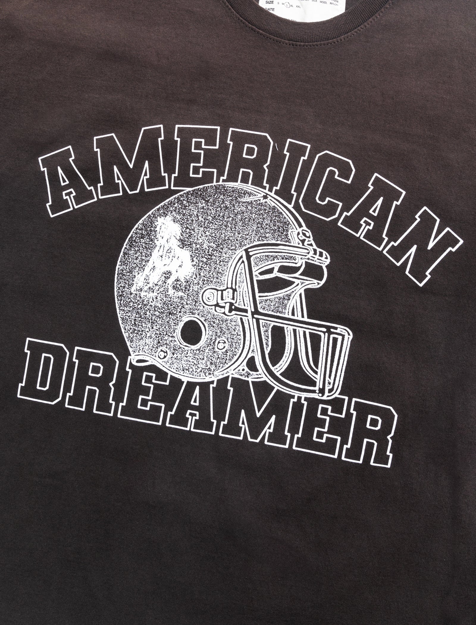 ONE OF THESE DAYS AMERICAN DREAMER T SHIRTS