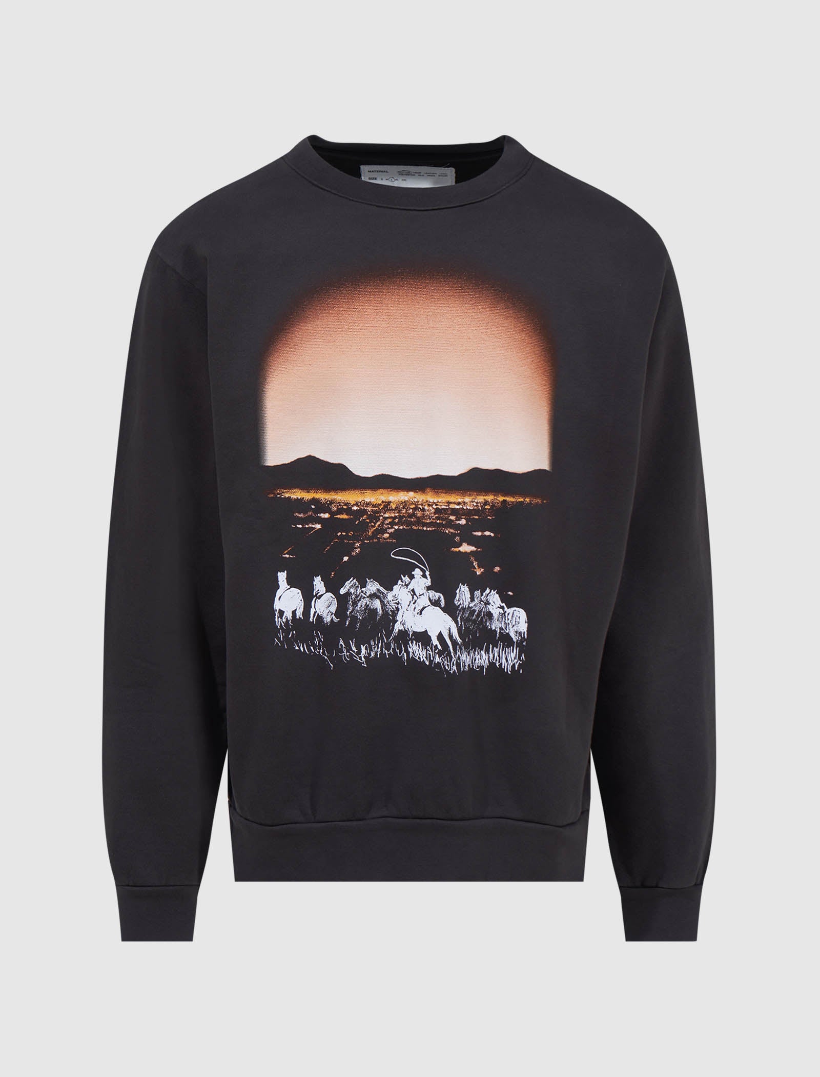 ONE OF THESE DAYS BEYOND PAST CREWNECK